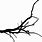 Tree Branch Clip Art Black and White