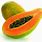 Tropical Fruit Papaya