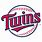 Twins Baseball Logo