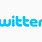 Twitter Word Logo