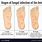 Types of Foot Infections
