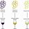 Types of Muscat Wine