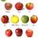 Types of Pink Apple's