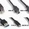 USB 2 Cable Types