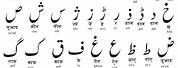 Urdu Alphabet PNG