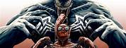 Venom in Spider-Man