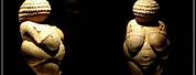 Venus of Willendorf Body Type