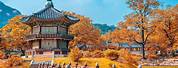 Visit Seoul South Korea