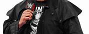 WWE Cowboy Brock Lesnar