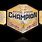 WWE USA Championship Belt