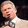 WWE Wrestling Vince McMahon