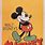 Walt Disney Mickey Mouse Cartoons