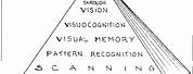 Warren's Hierarchy of Visual Perception