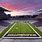 Washington Husky Football Stadium