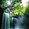 Waterfall Japanese Scenery
