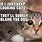 Weird Cat Pictures Meme