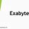 What Is an Exabyte Book
