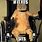 Wheelchair Cat Meme