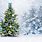 White Christmas Tree with Snow
