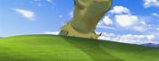 Windows XP Background Memes Kermit