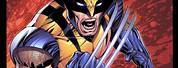 Wolverine Comic Book Character