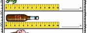 Worksheet On Measurement Height