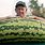 World's Biggest Melon