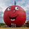 World Record Biggest Apple