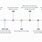 World Wide Web History Timeline