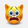 Worried Cat. Emoji