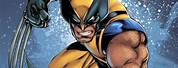 X-Men Wolverine Comic Book