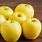 Yellow Apple Varieties
