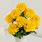 Yellow Marigold Bouquet