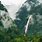 Yunnan Rainforest