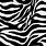 Zebra Print Texture