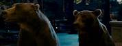 Zookeeper Movie Bear