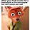 Zootopia Fox Meme