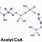 acetyl-CoA