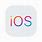 iOS Data Icon