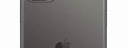 iPhone 11 Pro Max Back Space Grey