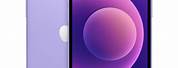 iPhone 12 Mini Purple Next to White
