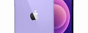 iPhone 12 Mini in Purple