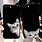iPhone 8 Cat Cases