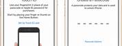 iPhone 8 User Guide.pdf