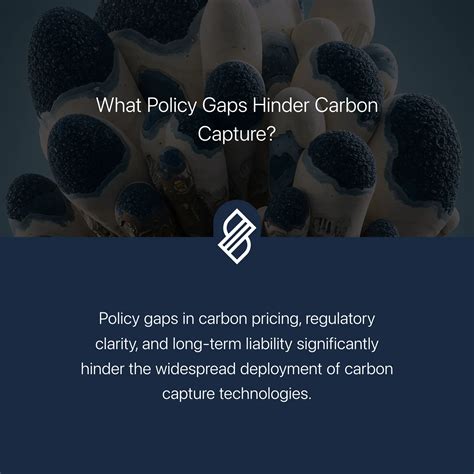 How Do Carbon-Oxygen Bonds Form during Fire? → Learn
