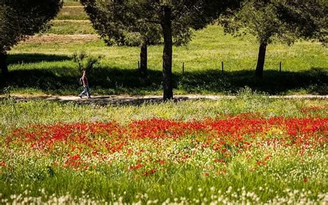 Pyrenees highlighted as leading cool-climate travel destination