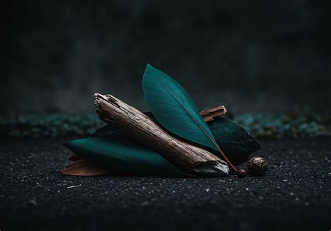 ADDIE Model → Area → Resource 9