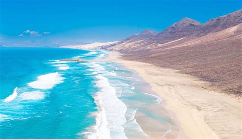 Islands Coin Script 的图像结果