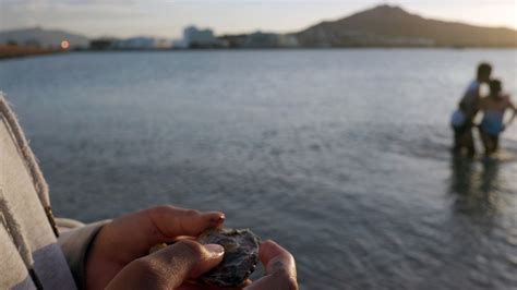 Exhibition | In the Heart of the North (Part 1) , Perc Tucker Regional ...