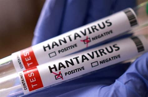 Singapore Tests Two Residents for Hantavirus After Cruise Outbreak